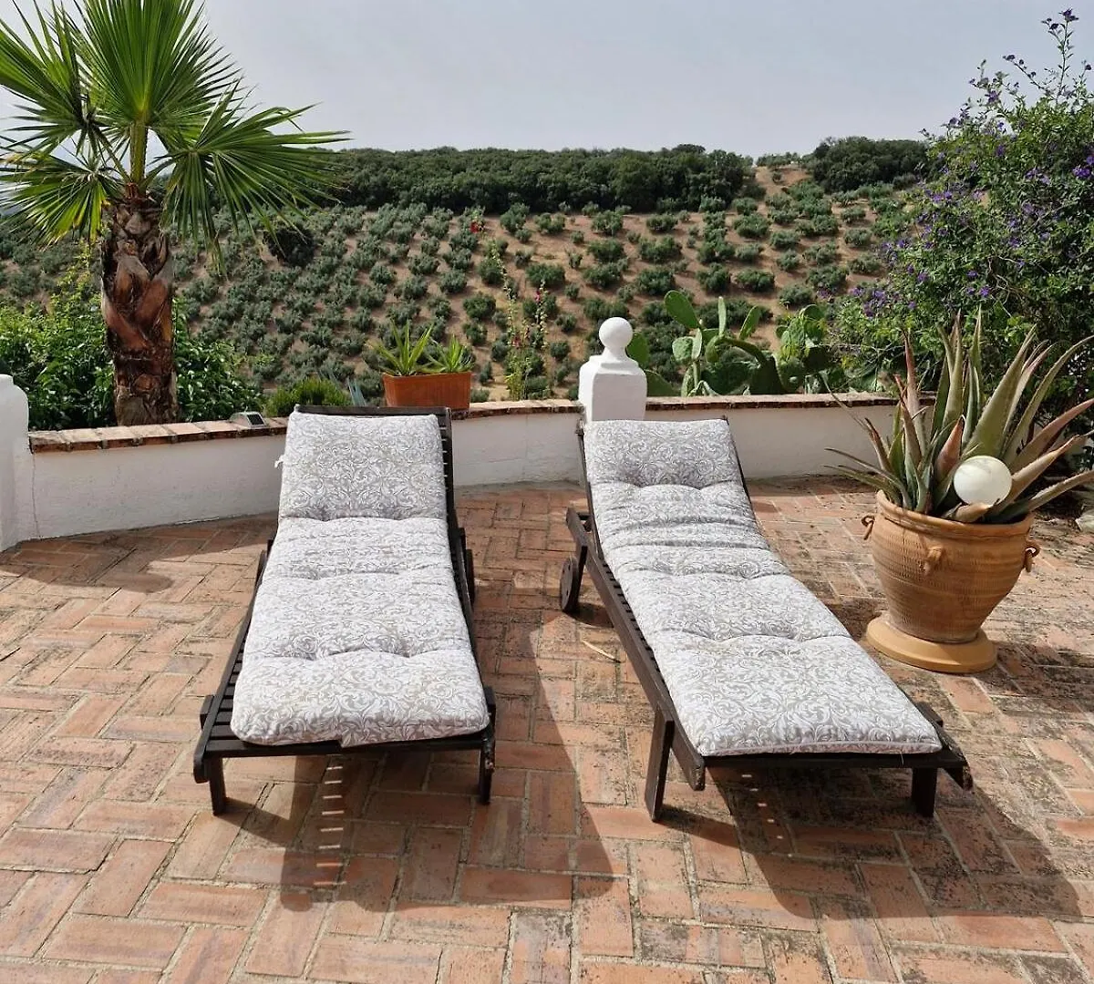 Casa Araflo Hotel Cortijada Los Chorreros Spain